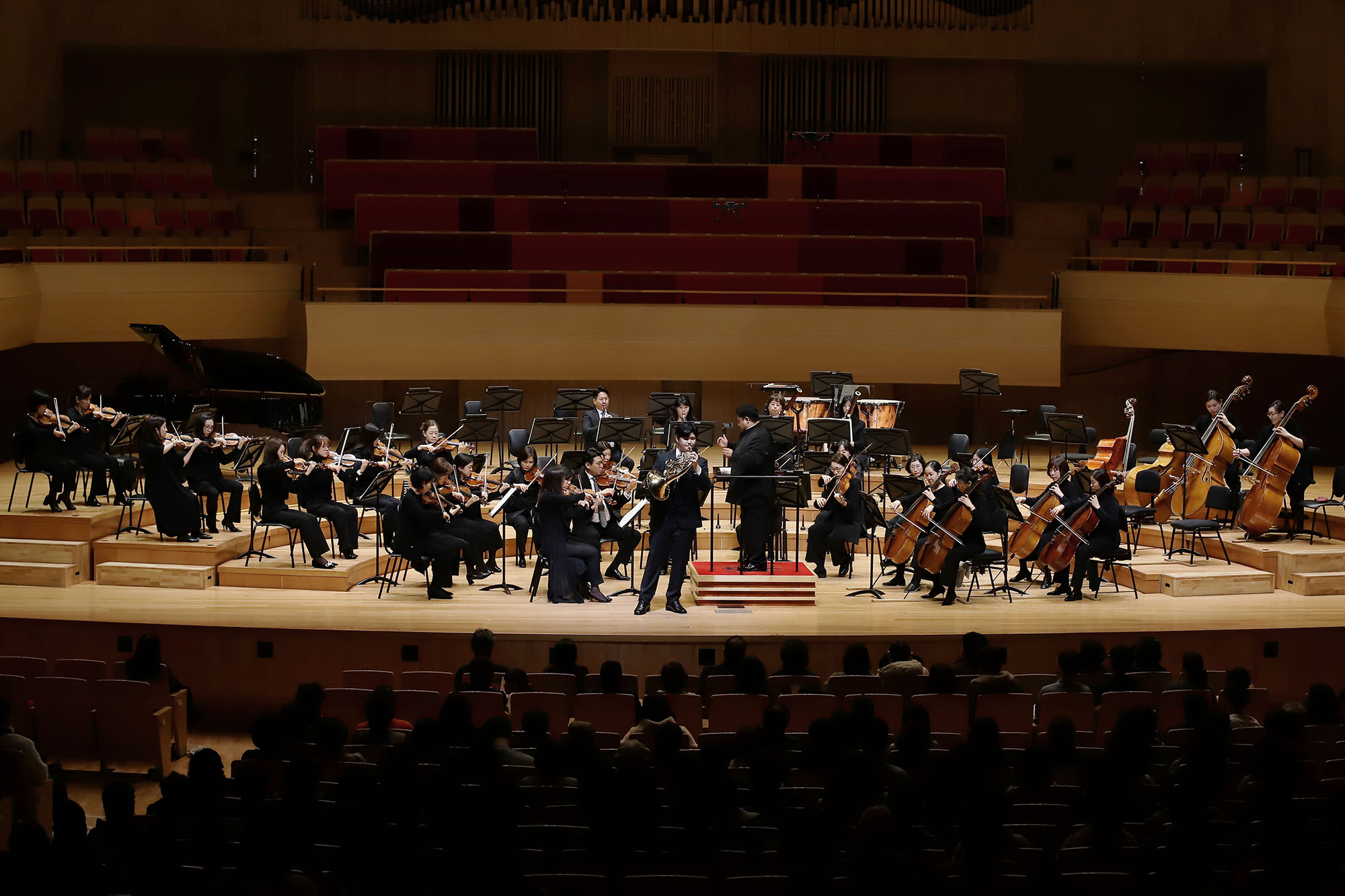 [12.14]Bucheon Philharmonic Orchestra - Dreamy Night Concerto